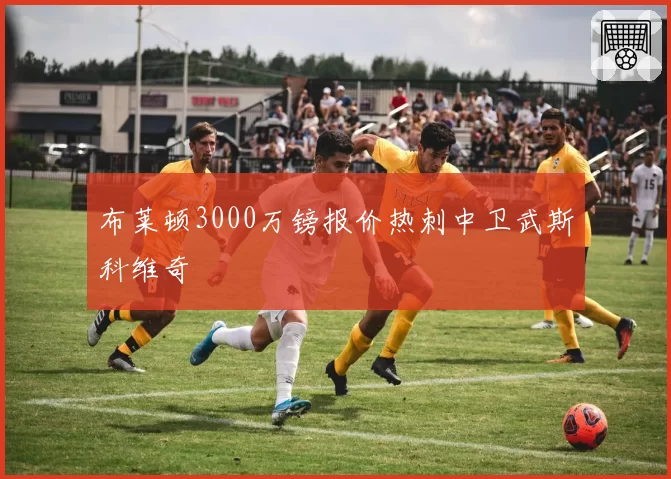 布莱顿3000万镑报价热刺中卫武斯科维奇