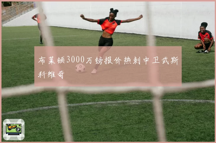 布莱顿3000万镑报价热刺中卫武斯科维奇