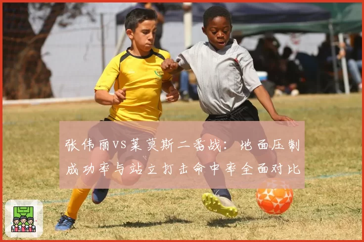 张伟丽vs莱莫斯二番战：地面压制成功率与站立打击命中率全面对比