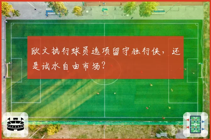 欧文执行球员选项留守独行侠,还是试水自由市场?